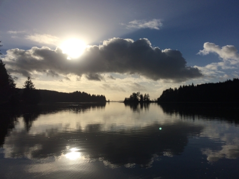 Sun and clouds reflect off still water on a bay surrounded by pine trees