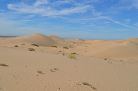 landscape of sand dunes with blue sky in background