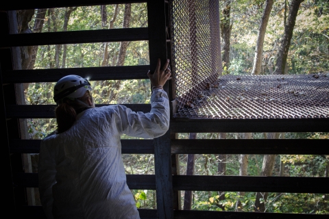 A biologist inspects a bat gate at Sodalis Nature Preserve in Missouri