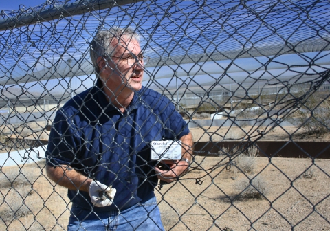 Man standing in fenced area holds juvenile tortoise in his hand
