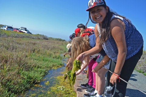 Elementary school students lean over to pick up algae at San Diego Bay National Wildlife Refuge. One makes a face.
