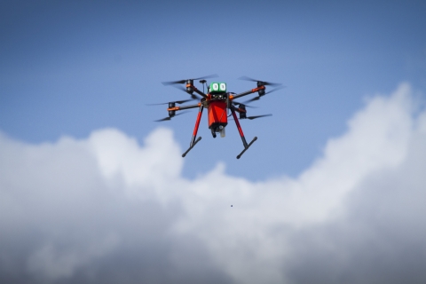 A drone (unmanned aircraft) , flying in a blue sky, drops sylvatic plague vaccine baits on prairie dog habitat at UL Bend National Wildlife Refuge.