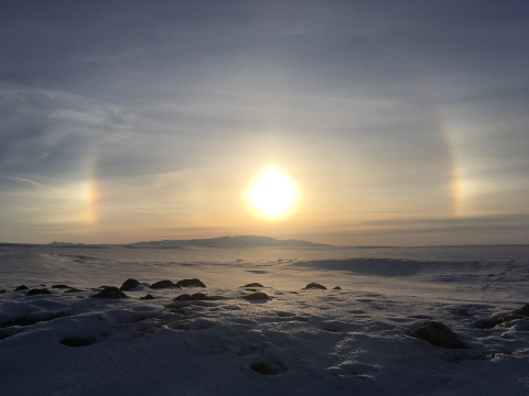 A low sun barely clears the horizon over the Arctic coast; cold, clear weather creates a “sun dog” halo of light above the frozen land. 