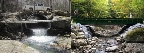 Undersized, perched culvert with cascade at outlet and bridge replacement with reconnected stream
