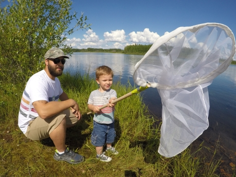 A volunteer watches a little boy lift a huge white insect net at Dragonfly Day at Kanuti Refuge in Alaska.