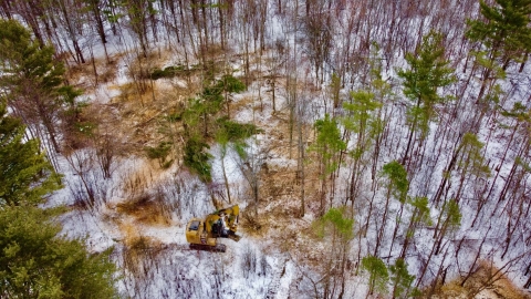 Aerial image looking down on excavator in winter forest working to remove woody invasive plants to improve young forest habitat.