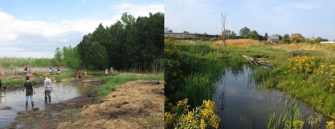 Schoolyard wetland restoration in progress with multiple children in muck boots holding shovels on the left and the finished wetland with standing water, goldenrod and vegetation on right.