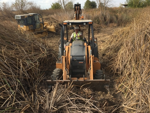 Removing reeds in wetland at Stone Lakes National Wildlife Refuge