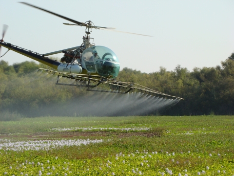 Aerial spraying herbacide