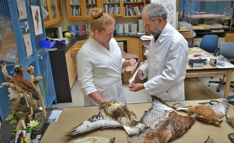 two people stand in a lab looking at a feather