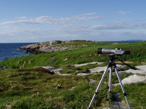 Monitoring the birds on Seal Island
