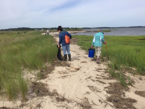 Volunteers picking trash off shore