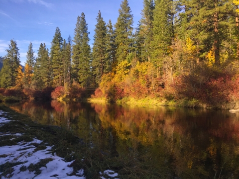 Bright autumn leaf colors are reflected in the water of a stream, where some snow is on the shaded bank.