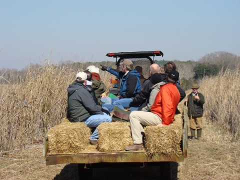 A group of visitors sit on an open trailer that is pulled by tractor over impoundment dikes. The dikes once separated plantation rice fields during the rice culture many years ago. 