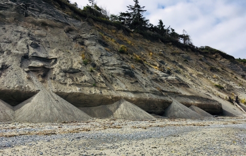 Sand Piles Accumulate at the Base of the Eroding Bluffs West of Dungeness Spit