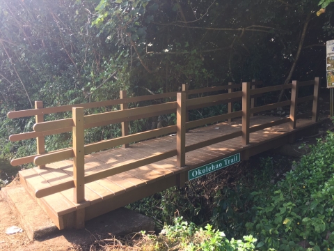 A cute, small bridge crossing over a lush creek acts as a trailhead for the Okolehao Trail.