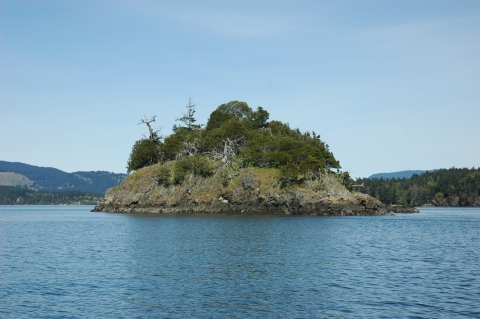 A Refuge Island with a Rocky Shoreline and a Forested Crown