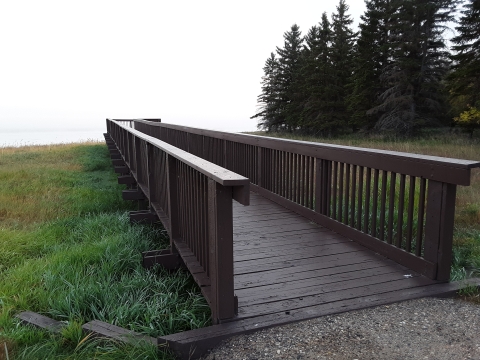 A flat walkway with handrails on both sides