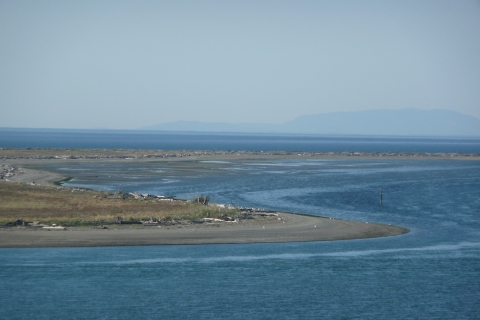 The Mudflats East of Graveyard Spit, Dungeness NWR