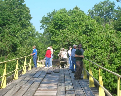 Birdwatchers standing on wooden bridge