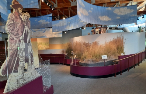 Exhibits on panels at a visitor center. 