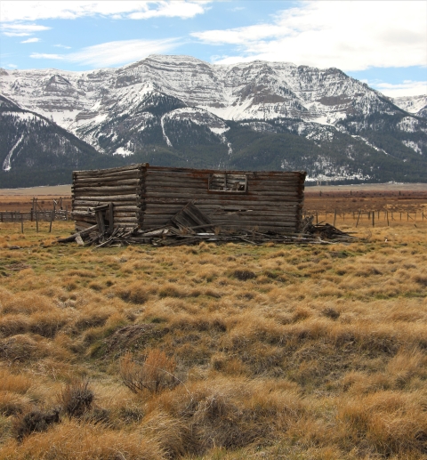 An old broken down homestead from the early 20th century with snow covered mountains in the background is shown.