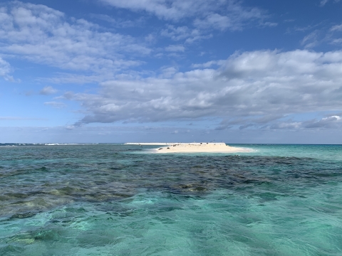 One of the shoals at French Frigate Shoals