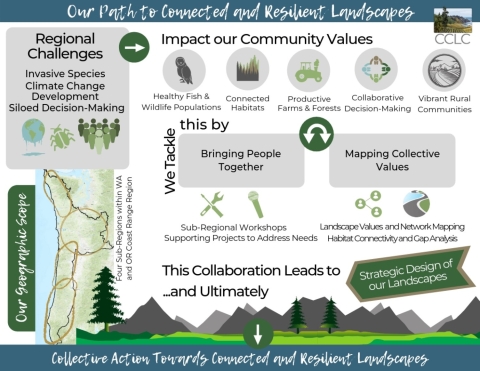 An infographic describing the Cascades to Coast Landscape Collaborative path to connected and resilient landscapes 