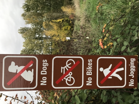 Brown sign depicting refuge rules - no dogs, bikes or running allowed. Trees and grass in background of sign
