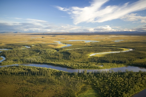 aerial image of the Selawik River meandering though a green valley with trees and tundra