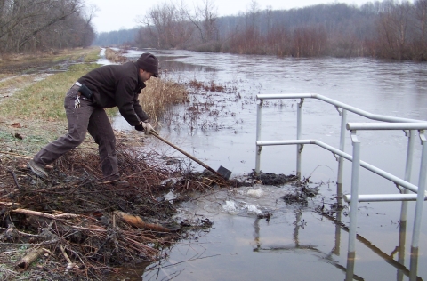 A Fish and Wildlife Service employee removes debris from a water control structure