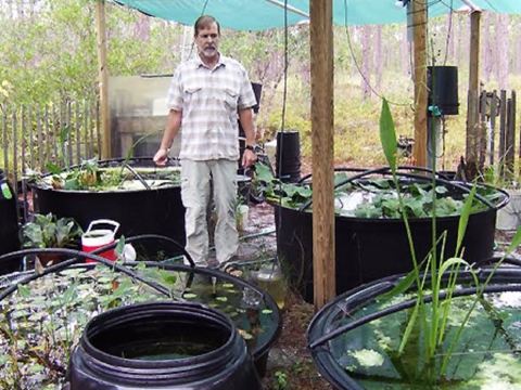 A man standing in a makeshift habitat he built for snails in his backyard.