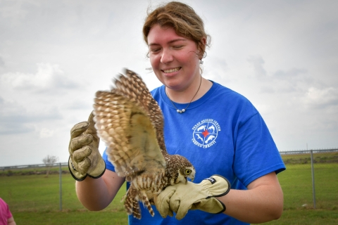 A volunteer holds a western burrowing owl
