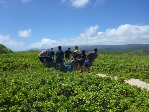 Several volunteers haul a net filled with ocean debris across green fields.