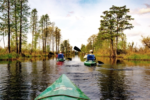 Front of a green kayak and two paddlers in the background with fall cypress trees on the water's edge