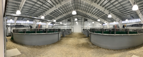 Large circular tanks in a vast room with a gravel floor.