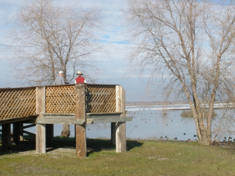 observation deck with 2 people on deck. 2 bare trees and water in background. various ducks and geese in water