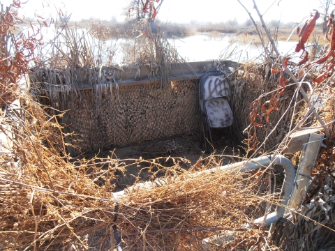 hunt blind covered in tule bundles with two folding chairs in corner of blind. 