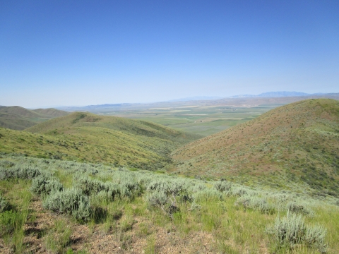 A view of rolling hills can be seen with green vegetation and sagebrush.