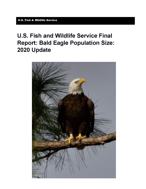 Cover page of Bald Eagle Population Size: 2020 Update Report