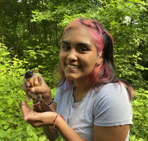 a woman in a forest holds an American robin in her hand