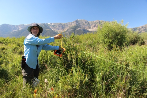 A technician surveys and measures a willow with mountains in the background.