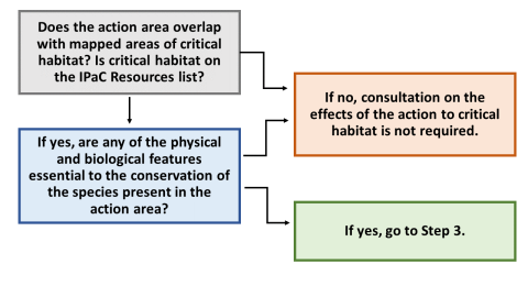 A flow chart showing the process of determining if Section 7 consultation is required due to effects to critical habitat.