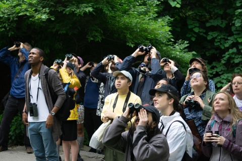 Group of people looking through binoculars watching birds