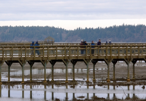 View of people on a boardwalk trail on tall posts above a mudflat with the tide out.