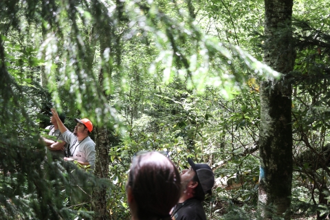 Group of people standing in a forest while one point up and speaks