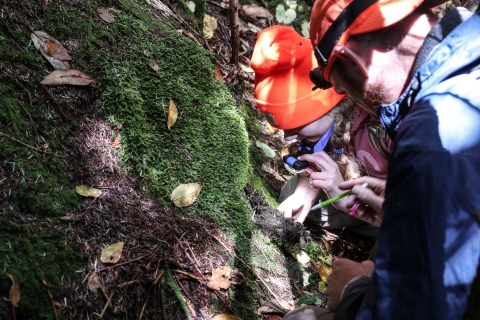 Two people examining a section of rock where the moss mat has been pulled back