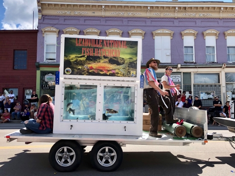 Hatchery viewing fish tank on a trailer in a town parade