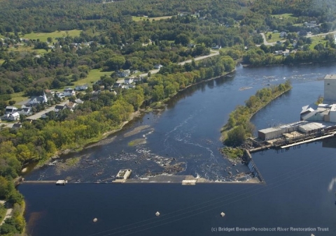 aerial view shows debris and sediment held back in a dam across a wide blue river