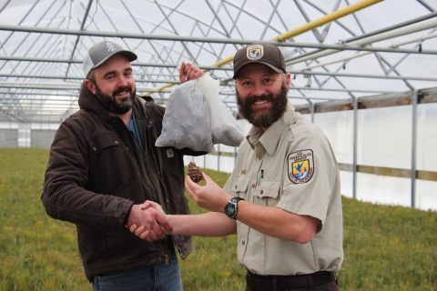 A USFWS worker holds a whitebark pine cone in one hand and shakes the hand of a tree seedling worker holding a bag of pine cones